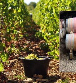 Domaine Nathalie Richez